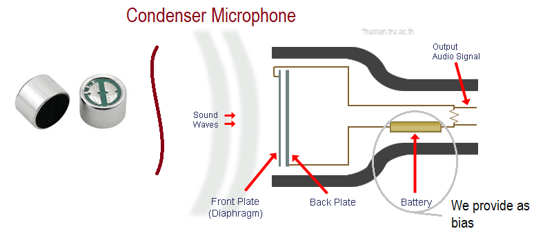 How Condenser Mic Works Theorycircuit Do It Yourself Electronics Projects